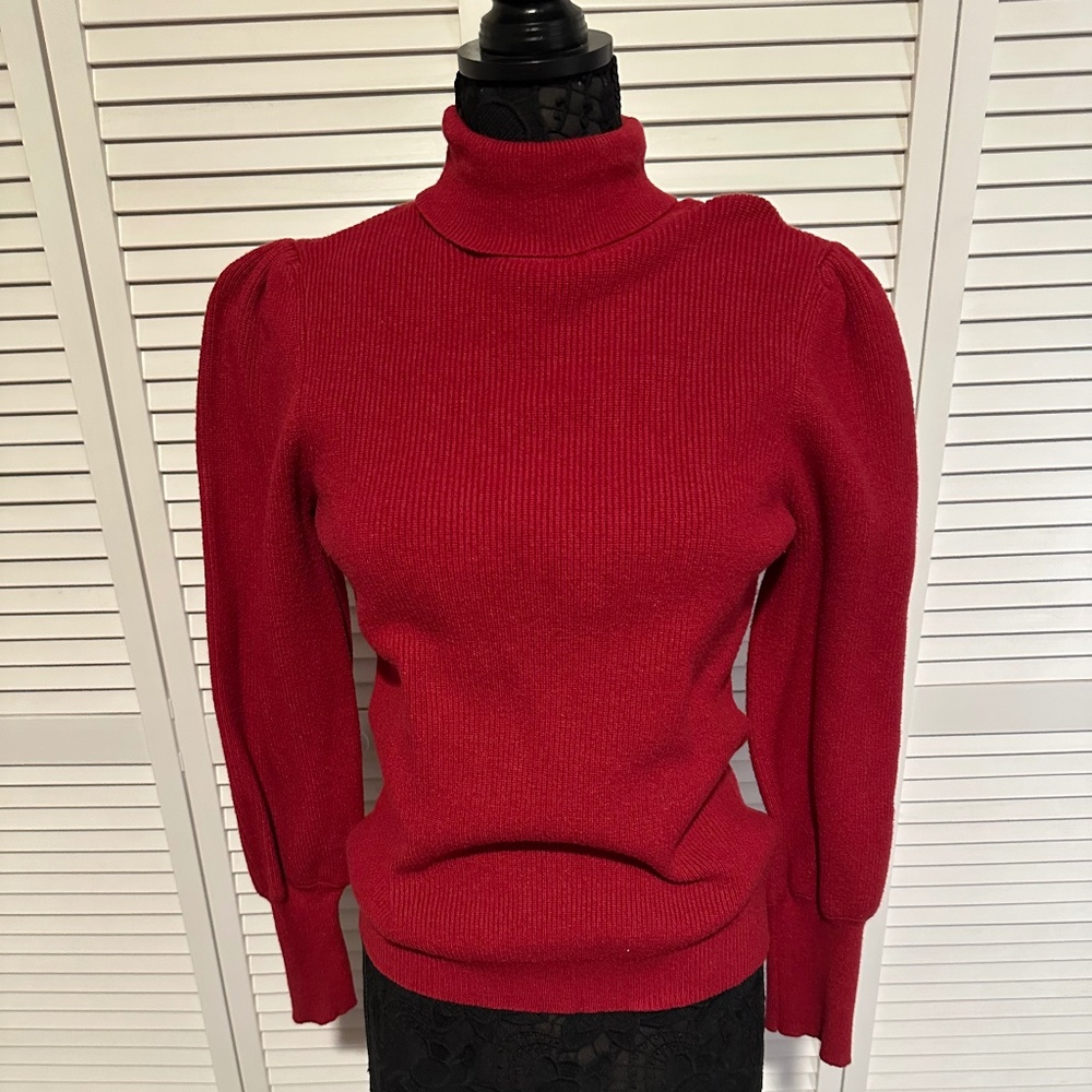 Boston Proper Turtleneck